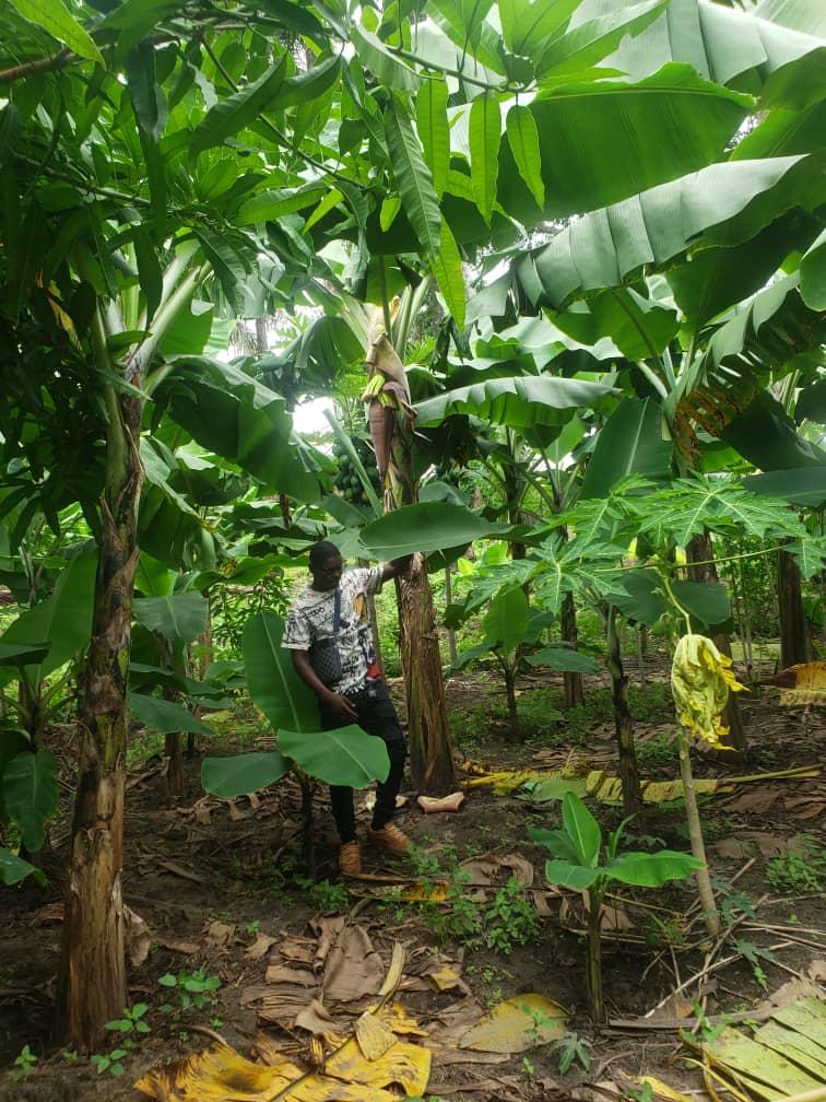 WhatsApp Image 2026 01 24 At 12.41.36